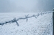 Sneeuwpret
